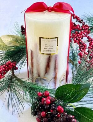 Orange Cinnamon and Clove Botanical Candle